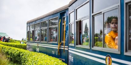 Dzongri Goecha La Trek (12N/13D)