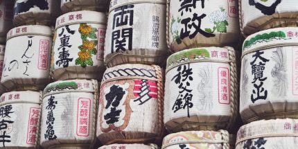 Historical Discovery of Japan (4N/5D)