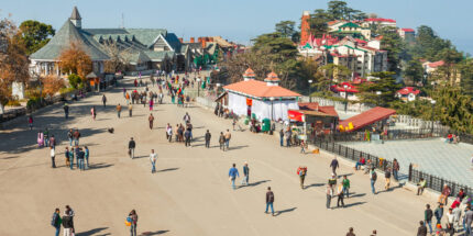 Shimla Hillside Holiday (2N/3D)